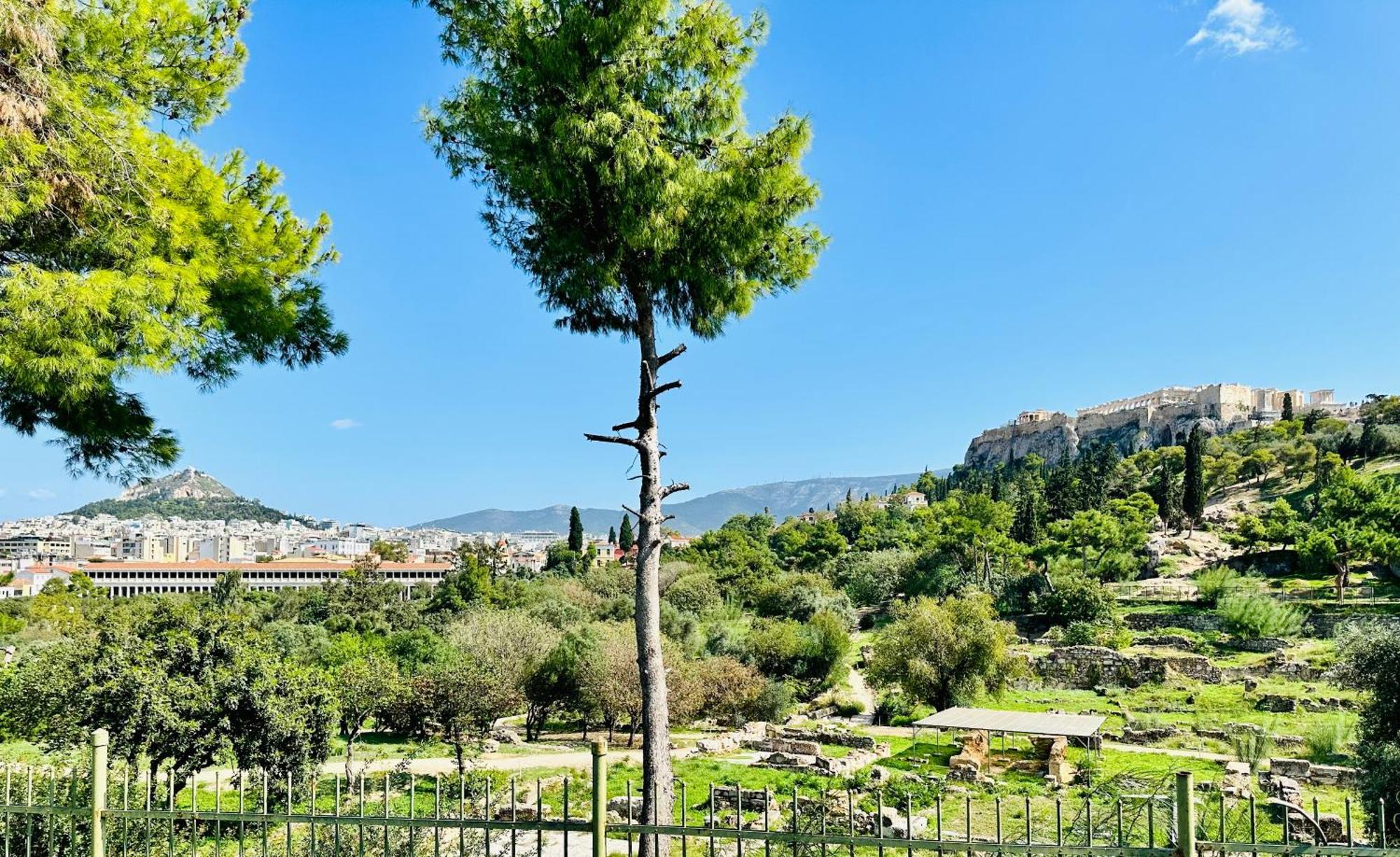 Yuna Penthouse, 100Sqm Private Rooftop Terrasse, Acropolis By Foot Athene Buitenkant foto